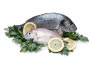 cucina-nostrana-uk-fish